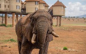 Salt Lick Safari Lodge